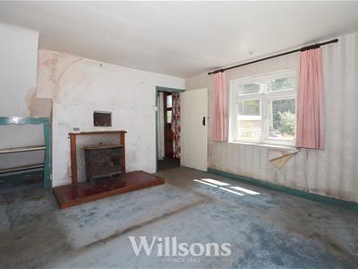 Picture 11